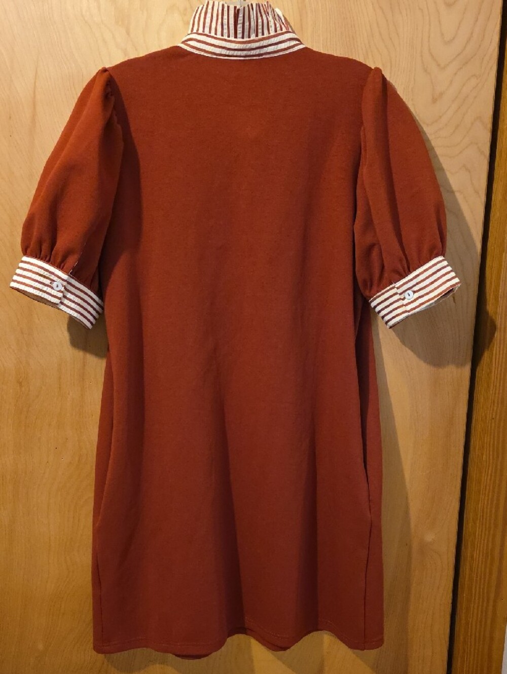 Entro Dress Burnt Orange W/ Cream & Burnt Orange Pinstripe Collar & Sleeve Cuff - Picture 2 of 10